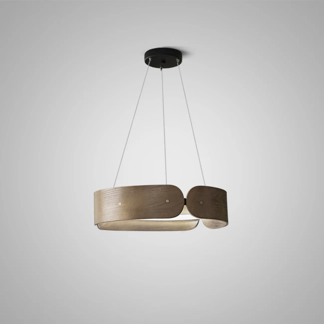 Подвесной кольцевой светильник RANGE 2 от ImperiumLoft