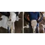 Череп буйвола Buffalo Skull Tribal Carving 1 от LaLume