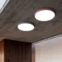 Потолочный светильник DISC COLOR D30 Grey от ImperiumLoft
