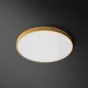 Потолочный светильник DISC COLOR D60 Yellow от ImperiumLoft