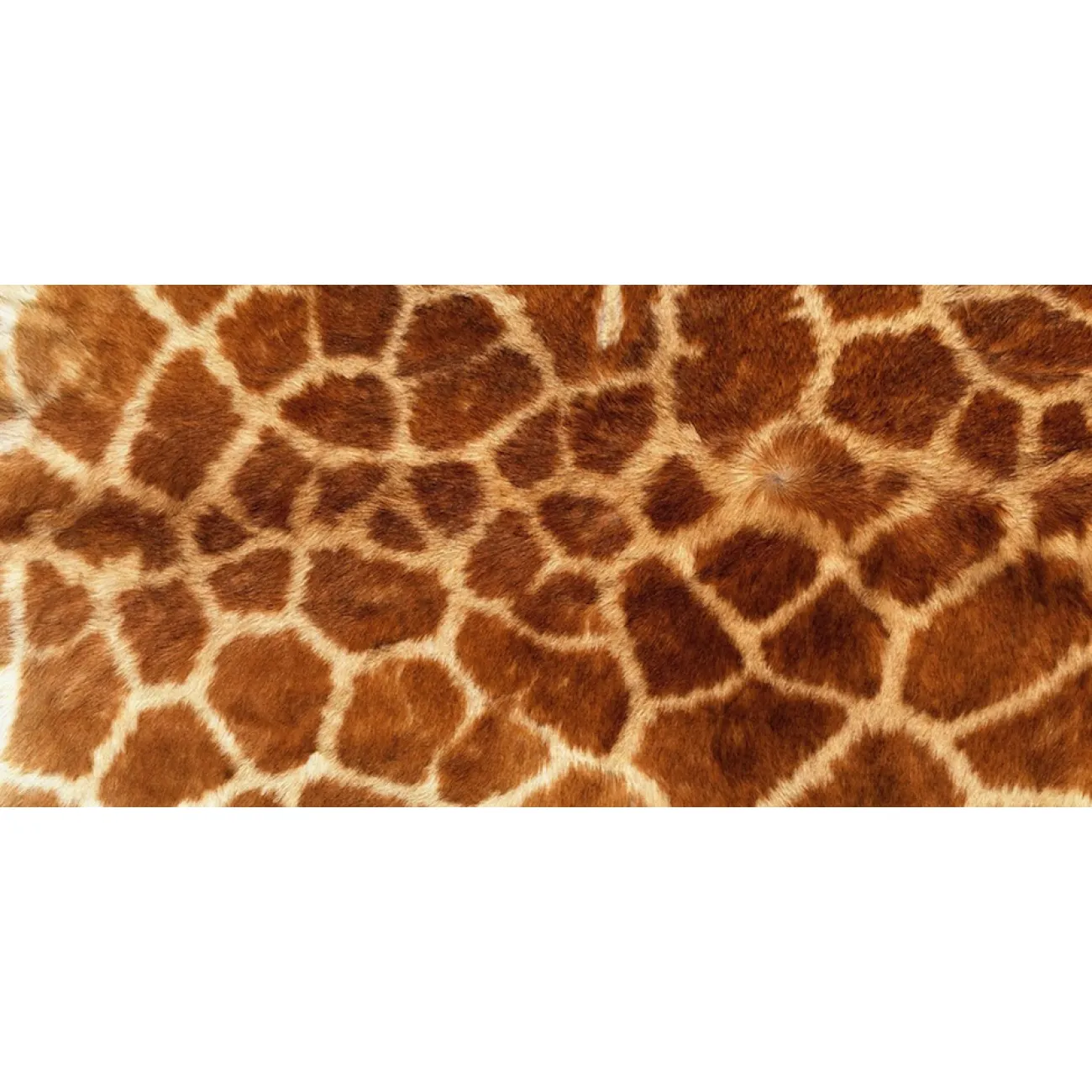 Натуральная шкура жирафа от LaLume