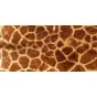 Натуральная шкура жирафа от LaLume