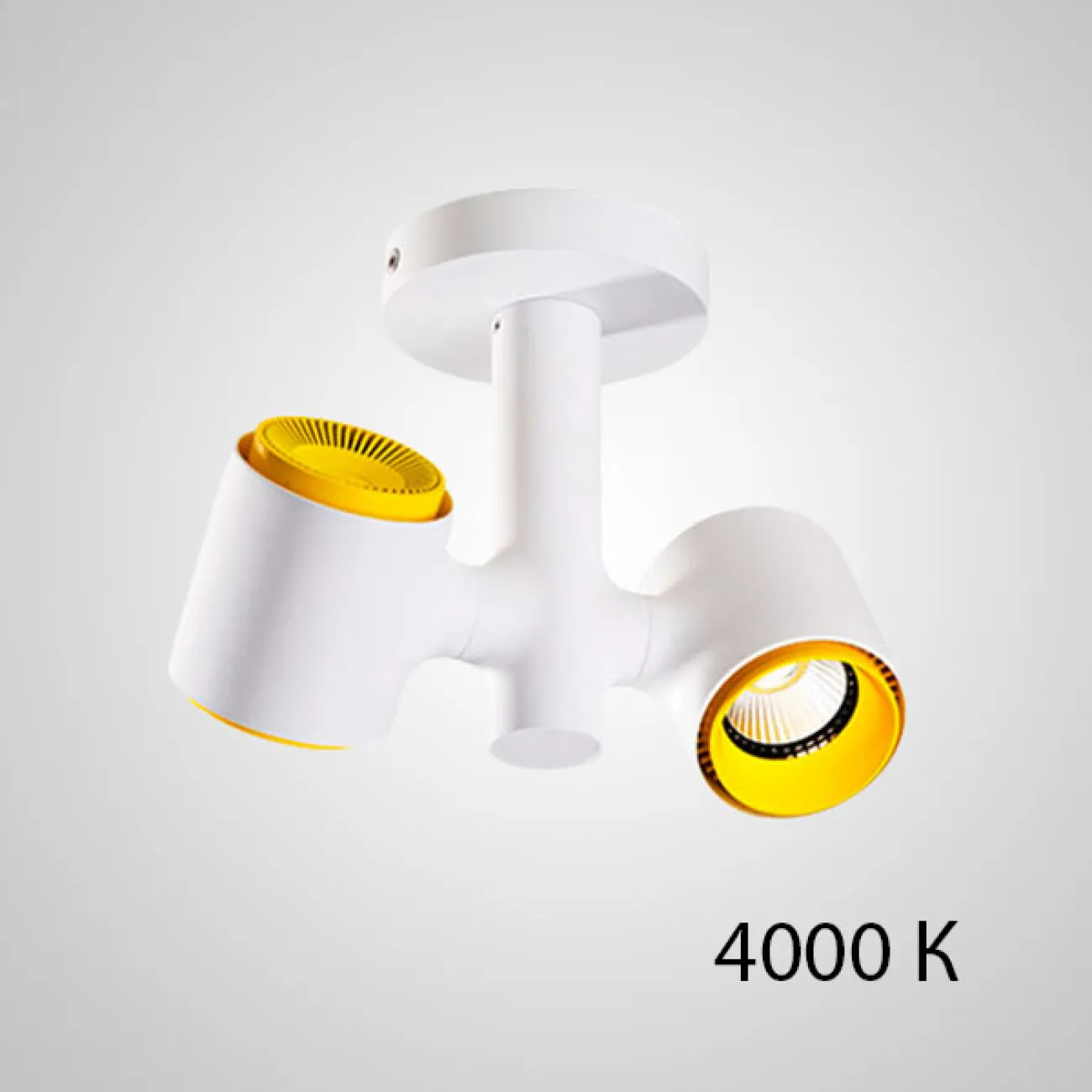 Точечный светильник RESTON PLANK L2 3000 К от ImperiumLoft