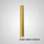 Точечный светильник PAN H20 Gold Трехцветный свет от ImperiumLoft