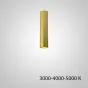 Точечный светильник PAN H20 Gold Трехцветный свет от ImperiumLoft