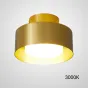 Серия точечных светодиодных светильников с круглым матовым плафоном в цилиндрическом корпусе SIGGEN SP Brass 3000К