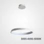 Подвесная люстра CHANETT D40 White Трехцветный свет от ImperiumLoft