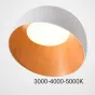 Потолочный светильник NORDA B White Трехцветный свет от ImperiumLoft