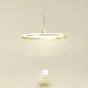 Подвесной светильник DANIKA D50 White Трехцветный свет от ImperiumLoft