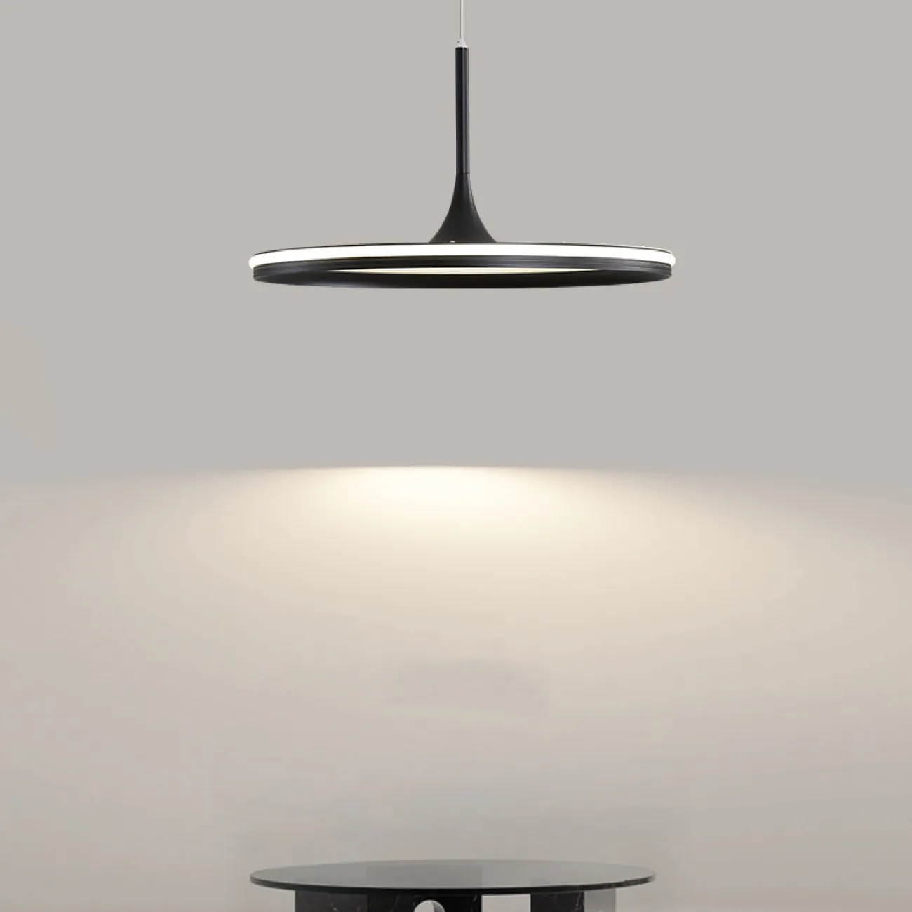 Подвесной светильник DANIKA D40 Black Трехцветный свет от ImperiumLoft