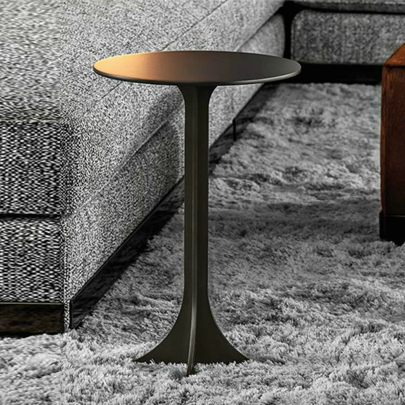 Дизайнерский журнальный столик LaLume-AP00250