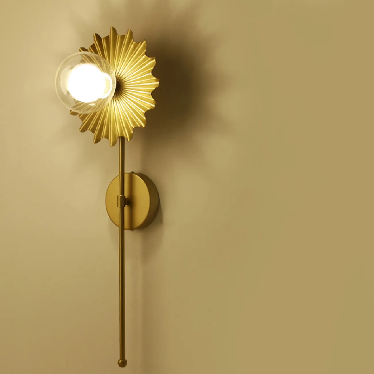 Настенный светильник с шарообразным стеклянным плафоном и дисковидным рельефным рассеивателем, стилизованным под цветок SUNNY Настенный светильник с шарообразным стеклянным плафоном и дисковидным рельефным рассеивателем, стилизованным под цветок SUNNY