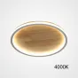 Потолочный светильник DOLAN D40 4000К от ImperiumLoft