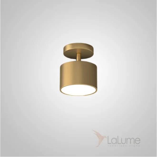 Накладной светодиодный светильник с регулировкой наклона плафона TENN COSY C