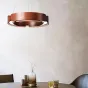 Подвесной кольцевой светильник RANGE 1 D55 Red wood от ImperiumLoft