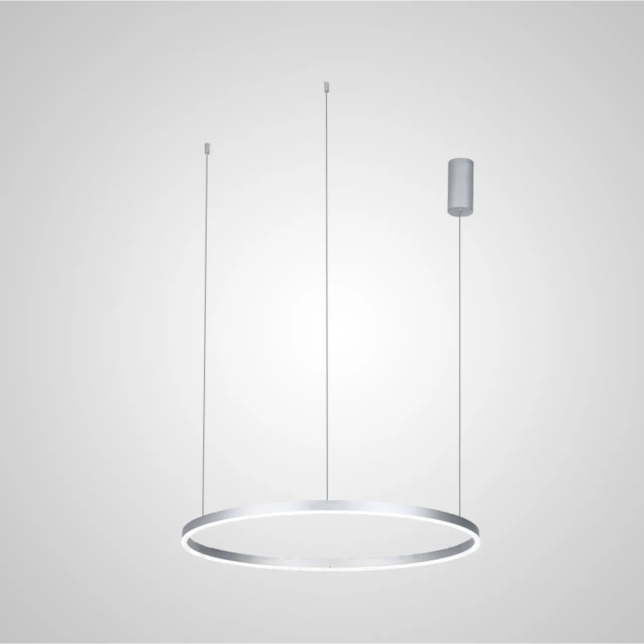 Подвесная люстра CRUISE SILVER D60 от ImperiumLoft