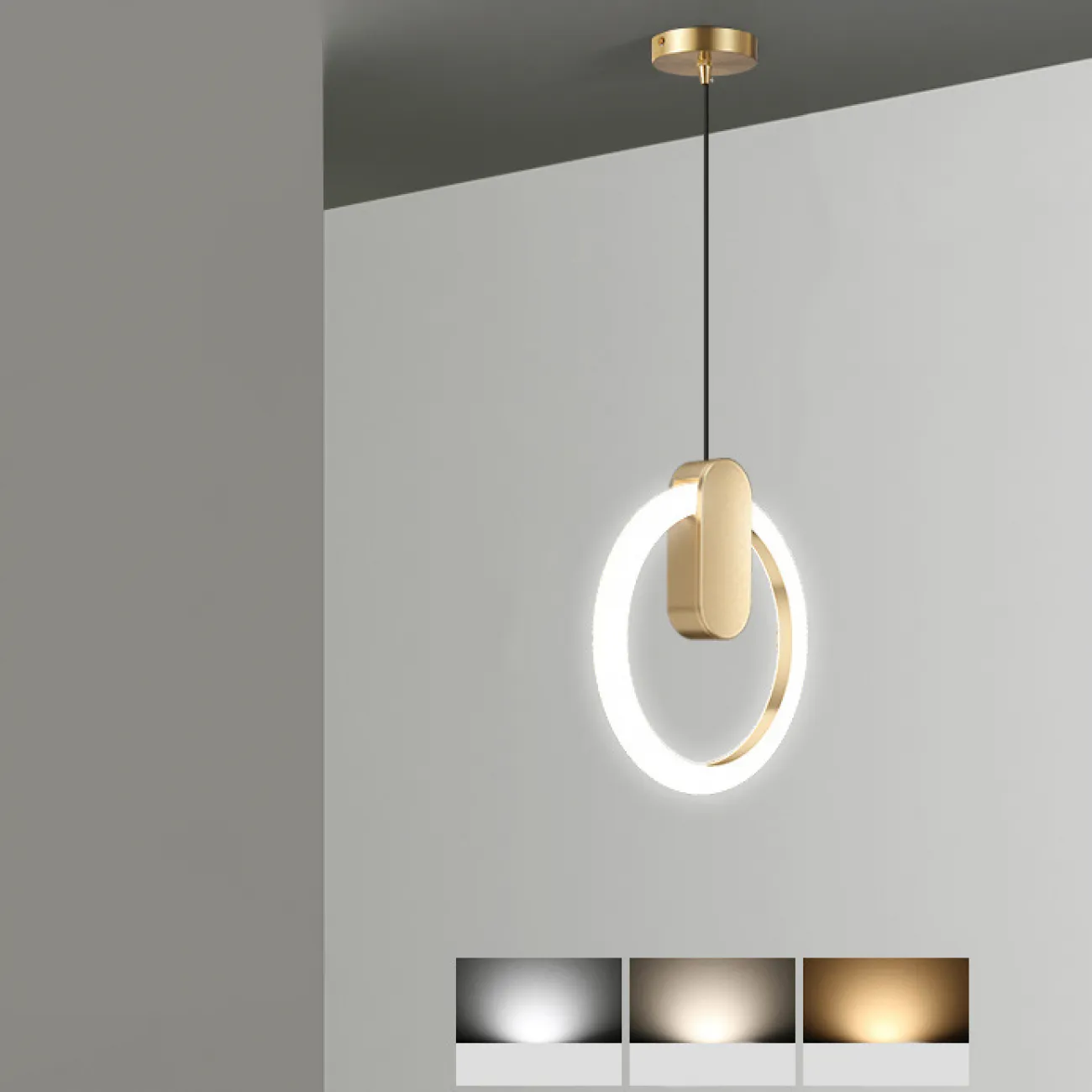 Подвесной светильник GINA D20 Black Трехцветный свет от ImperiumLoft