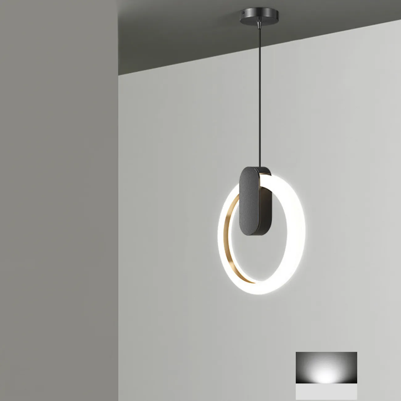 Подвесной светильник GINA D20 Black Трехцветный свет от ImperiumLoft
