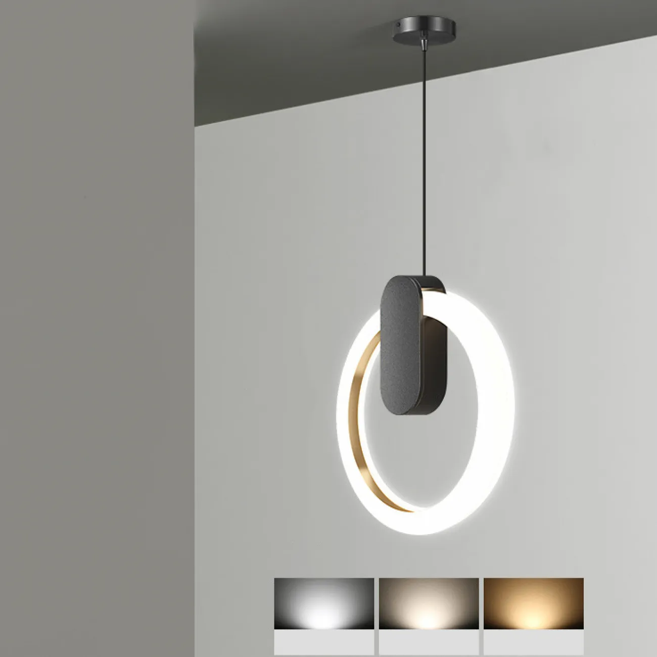 Подвесной светильник GINA D20 Black Трехцветный свет от ImperiumLoft