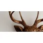 Голова оленя - Бронзовая с бронзовыми рогами от LaLume