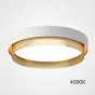Потолочный светильник MALIA D55 White Brass 4000К от ImperiumLoft