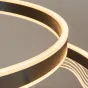 Подвесная люстра DIGNITY D60 Brass от ImperiumLoft