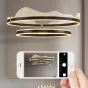 Подвесная люстра DIGNITY D60 Brass от ImperiumLoft
