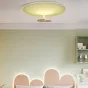 Потолочный светильник LESLEY D45 Pink от ImperiumLoft