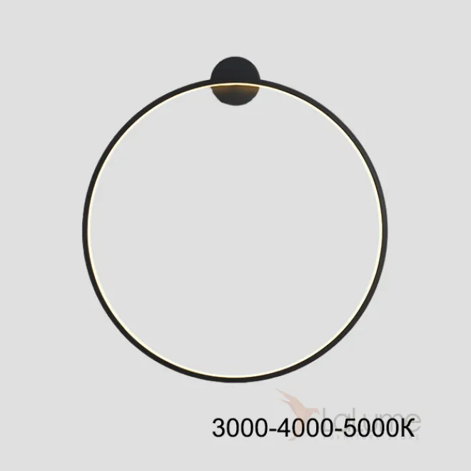 Серия настенных светильников в виде черных металлический колец разного диаметра с LED-подсветкой по контуру корпуса с круглым креплением GUARD B D100 Трехцветный свет