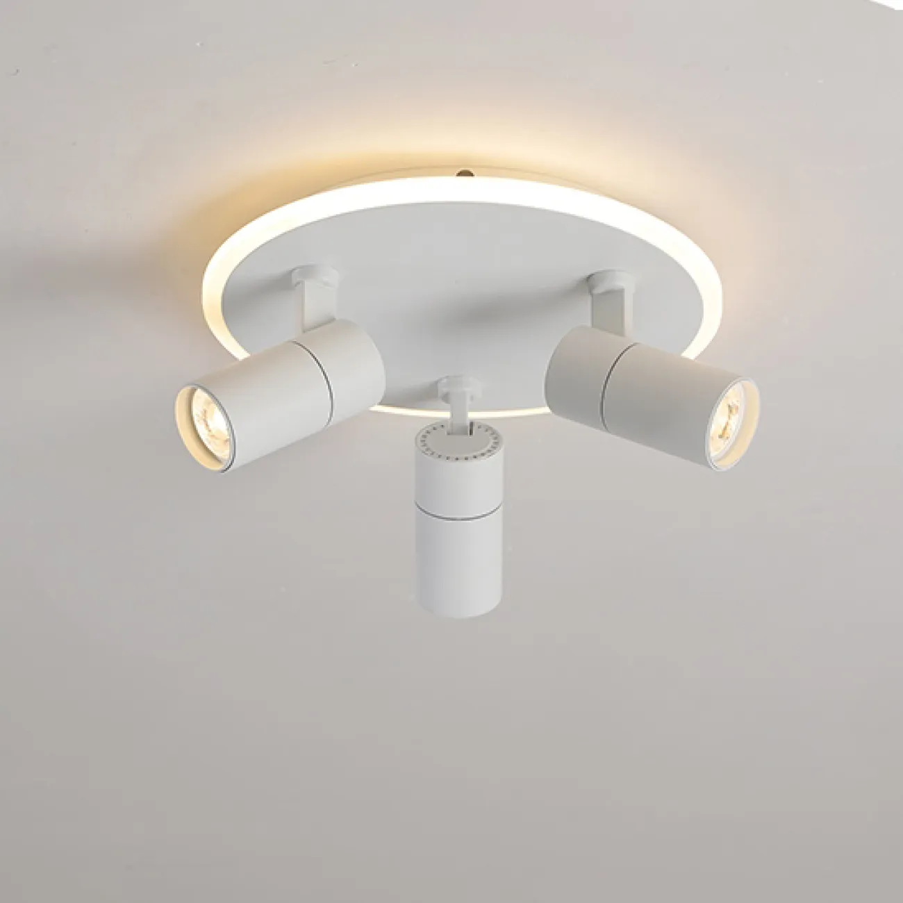 Светодиодный потолочный светильник с поворотным механизмом ETEL B