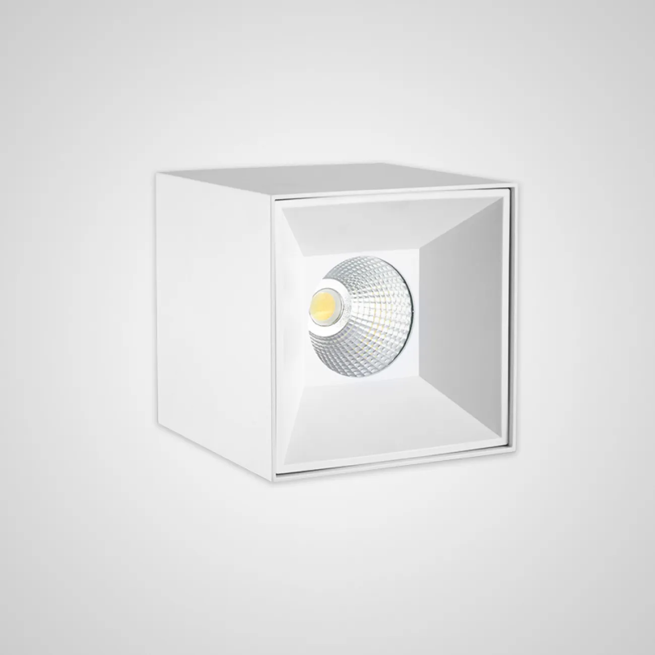 Накладной светодиодный светильник TORE