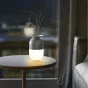 Серия настольных ламп в виде цветочных ваз со светодиодной подсветкой ANETTA от LaLume