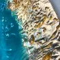 Трехмерная рельефная 3d картина "Пьяная красавица" 37700-30 с росписью из смолы