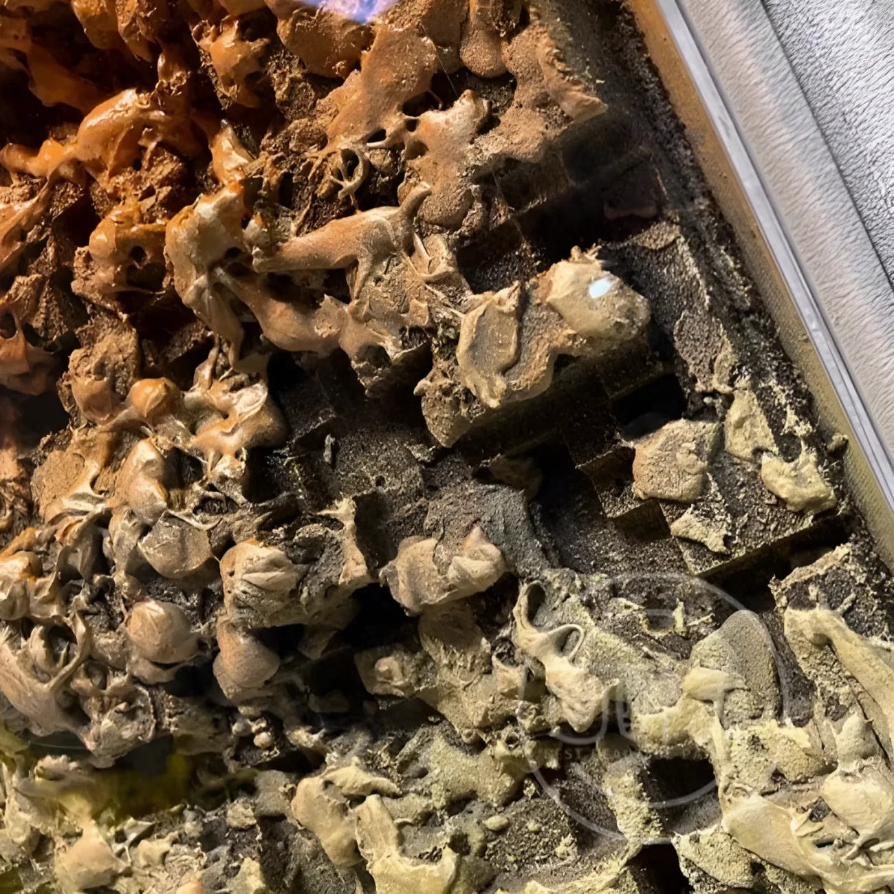 Высококлассная декорированная акриловая картина "Пьяная красавица" 37972-30