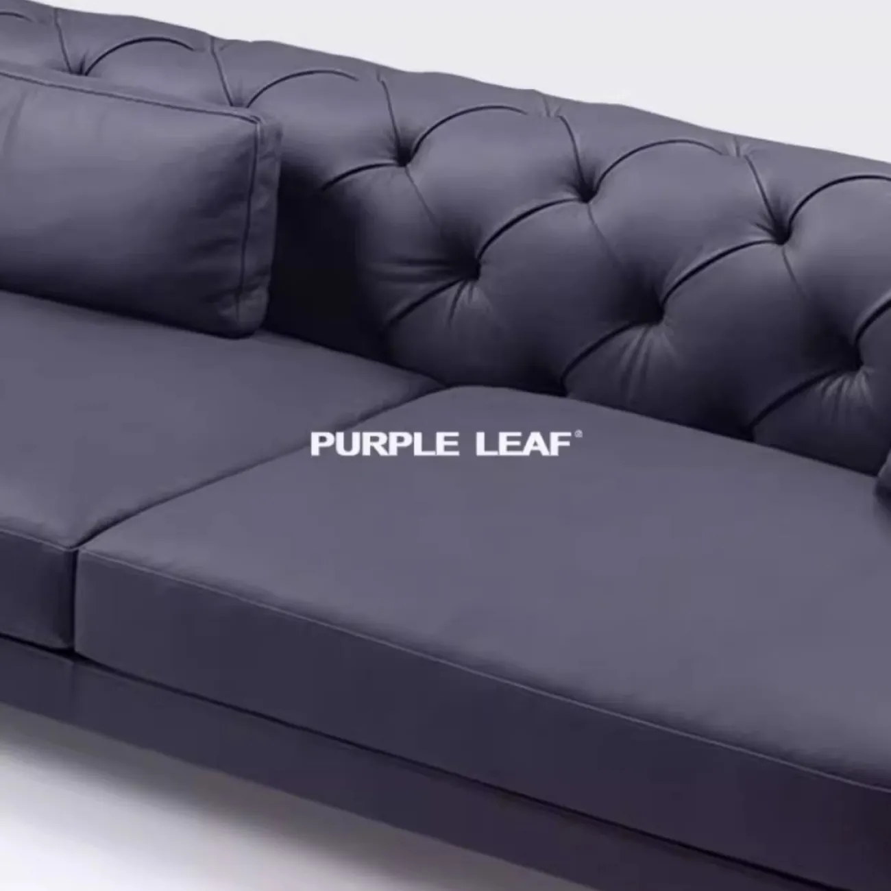 Роскошный кожаный диван Purple Leaf 35949-29