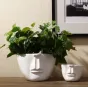 Керамический белый горшок Face