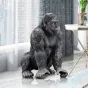  Напольная статуэтка Orangutan ручной резьбы и росписи