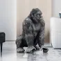  Напольная статуэтка Orangutan ручной резьбы и росписи